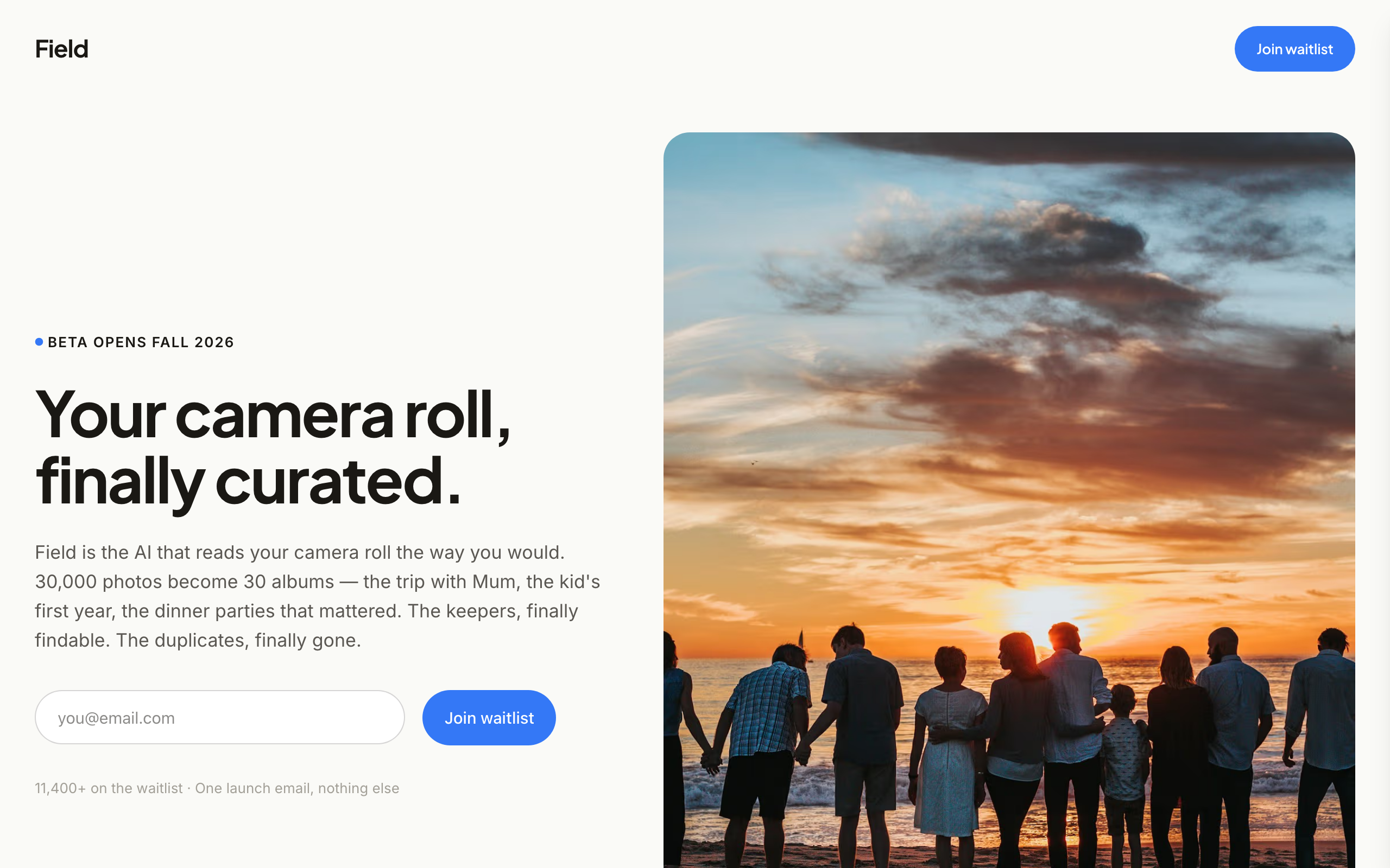 Field template preview